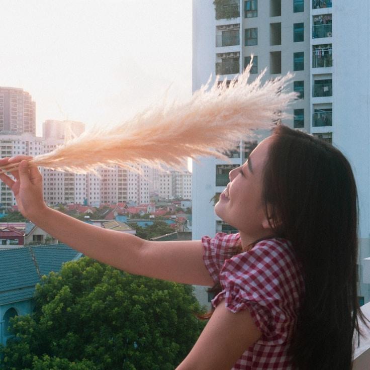 Landscape day trip near Amsterdam, Netherlands